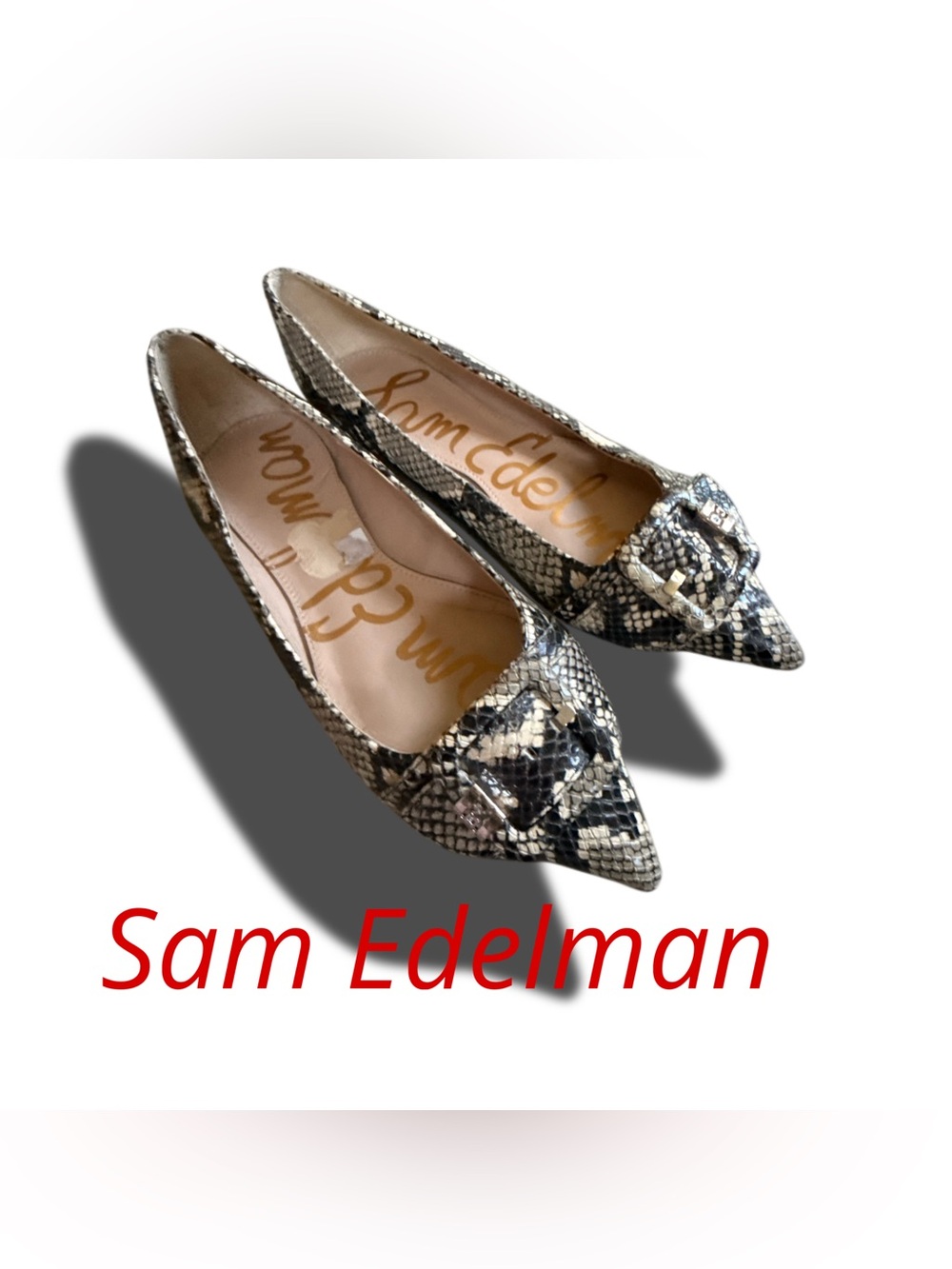 Sam Edelman Pointed Snake-Print Flats in Black & Cream